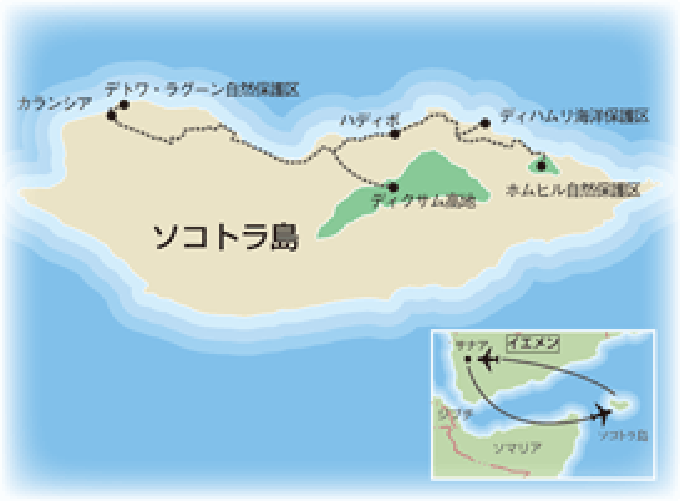 コース地図