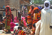 カメルーン・チャド・ニジェール 喧騒のアフリカ 熱帯からサヘルへの旅