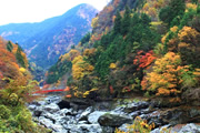 飛鳥の里から奈良最深部へ  錦秋の大和路をゆく