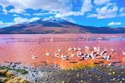 アタカマ砂漠とウユニ塩湖　チリ・ボリビア絶景スペシャル