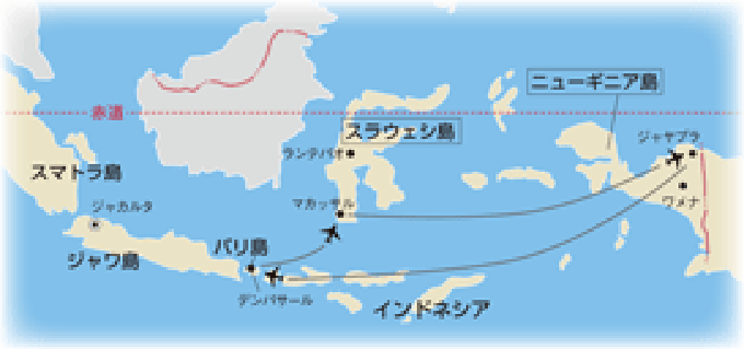 コース地図