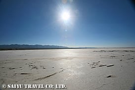茶力塩湖