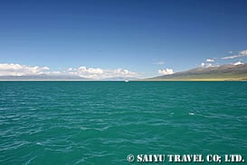 夏の青海湖