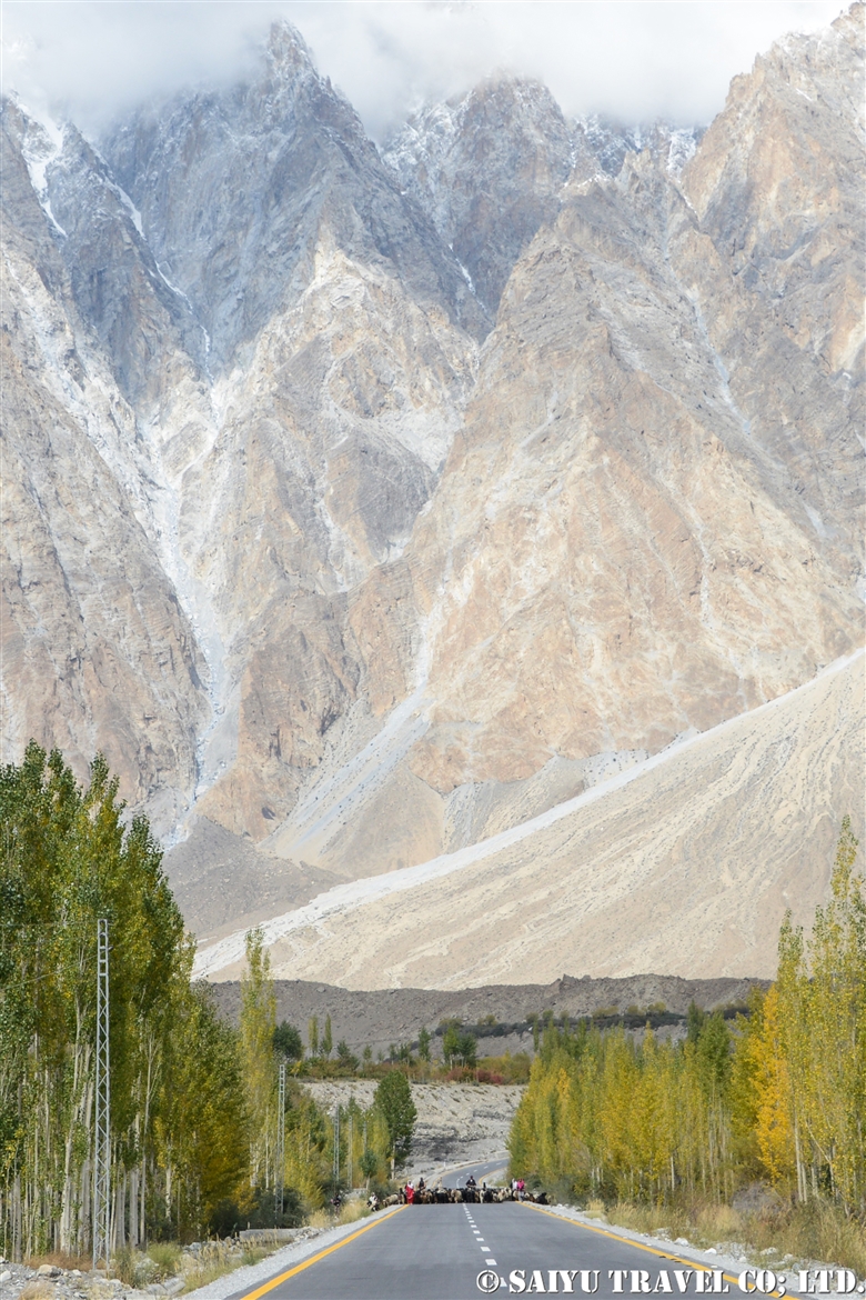 北部パキスタン 秋の風物詩 秋のパスーで家畜の移動と出会う Discover Pakistan