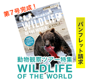 世界の野生動物ツアー特集 Wildlife Of The World 西遊旅行
