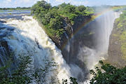 チョベ国立公園も訪れる グレート・ジンバブエとビクトリア大瀑布