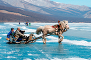 【近日発表】幻想の氷上世界　冬のモンゴル・フブスグル湖とタイガの森