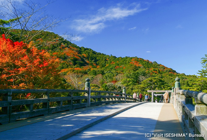 歩かずに行く熊野古道 紀伊山地の聖地巡礼 伊勢神宮から高野山へ 西遊旅行の添乗員同行ツアー 147号