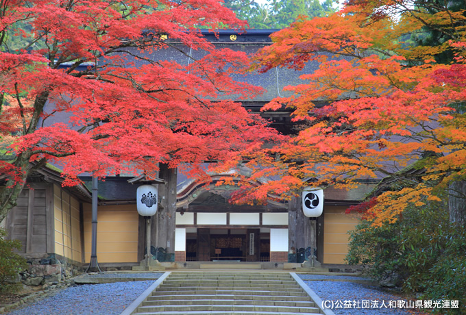 歩かずに行く熊野古道 紀伊山地の聖地巡礼 伊勢神宮から高野山へ 西遊旅行の添乗員同行ツアー 147号