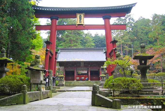 山小屋ガイドと登る富士山参拝登山 精進湖ルートから馬返しへ 西遊旅行の添乗員同行ツアー 147号