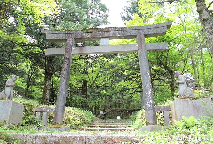 山小屋ガイドと登る富士山参拝登山 精進湖ルートから馬返しへ 西遊旅行の添乗員同行ツアー 147号