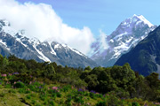 ニュージーランド・サザンアルプスゆったりハイキング